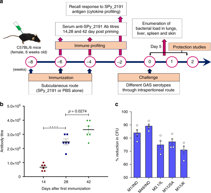 Fig. 2: SPy_2191 induces humoral immune response.