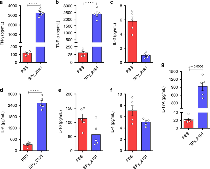 Fig. 3: Th1-baised antigen recall response by SPy_2191-immunized mice splenocytes.
