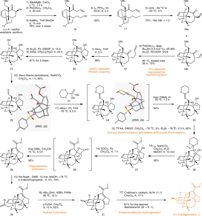 Asymmetric Total Synthesis Of Yuzurimine Type Daphniphyllum Alkaloid Caldaphnidine J Nature Communications