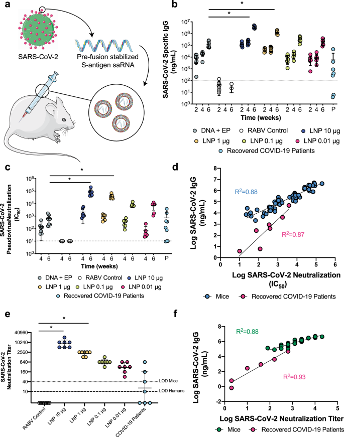 Self Amplifying Rna Sars Cov 2 Lipid Nanoparticle Vaccine Candidate Induces High Neutralizing Antibody Titers In Mice Nature Communications