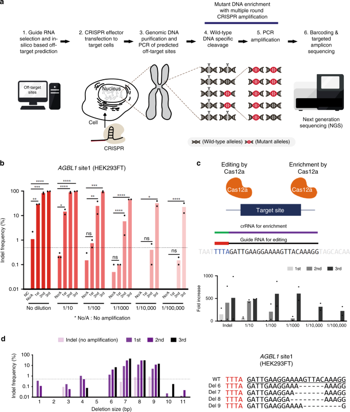 Super Interessante #453 - Jul23, PDF, CRISPR