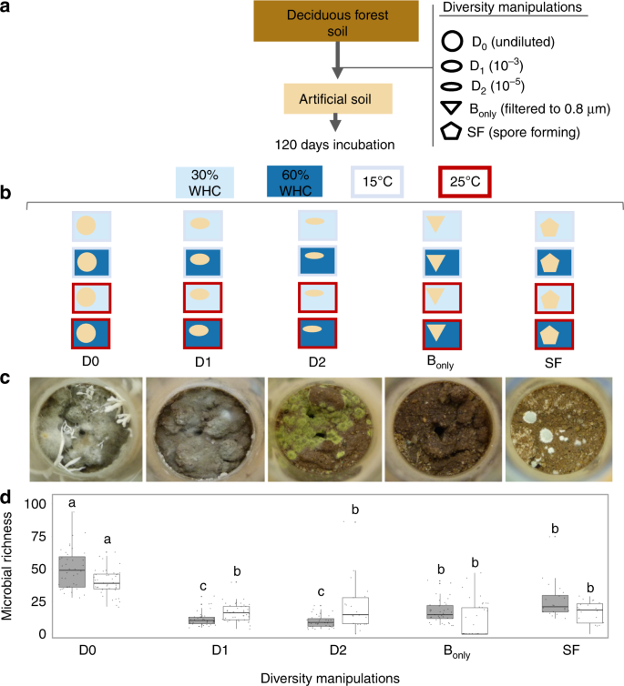 experiment diversity of bacteria