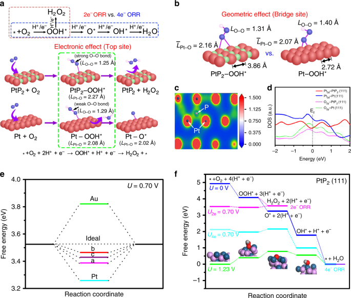 Scalable neutral H2O2 electrosynthesis by platinum diphosphide nanocrystals  by regulating oxygen reduction reaction pathways | Nature Communications