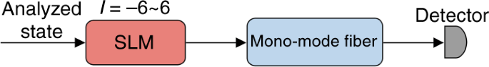 Fig. 7: The scheme of orbital angular momentum mode analysis.