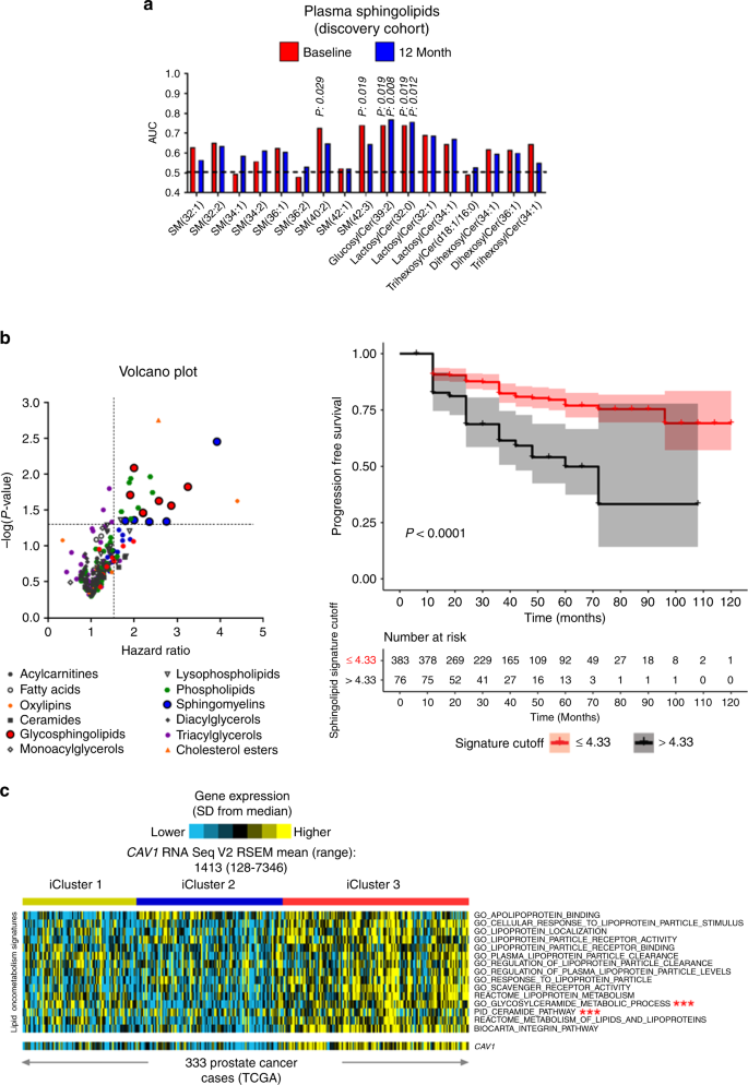 Caveolin-1-mediated sphingolipid oncometabolism underlies a metabolic  vulnerability of prostate cancer | Nature Communications