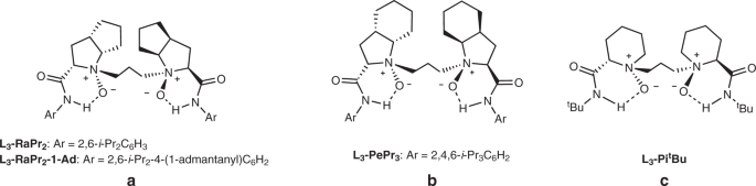Fig. 2: Representative chiral N,Nʹ-dioxide ligands used in the study.