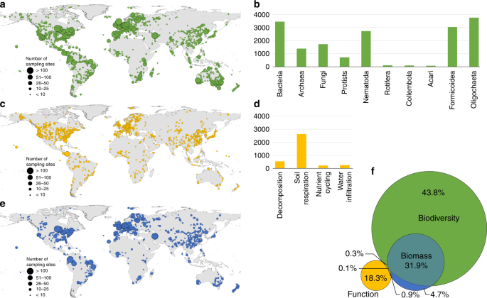 Blind spots in global soil biodiversity and ecosystem function research