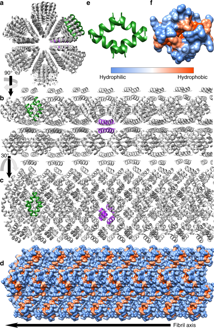 The Human Ll 37 17 29 Antimicrobial Peptide Reveals A Functional Supramolecular Structure Nature Communications