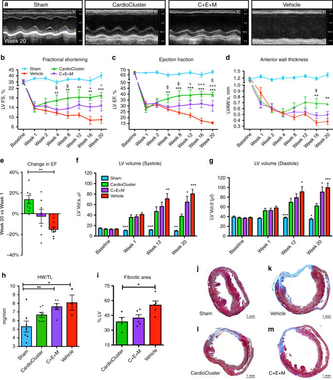 Enhancing Myocardial Repair With Cardioclusters Nature Communications