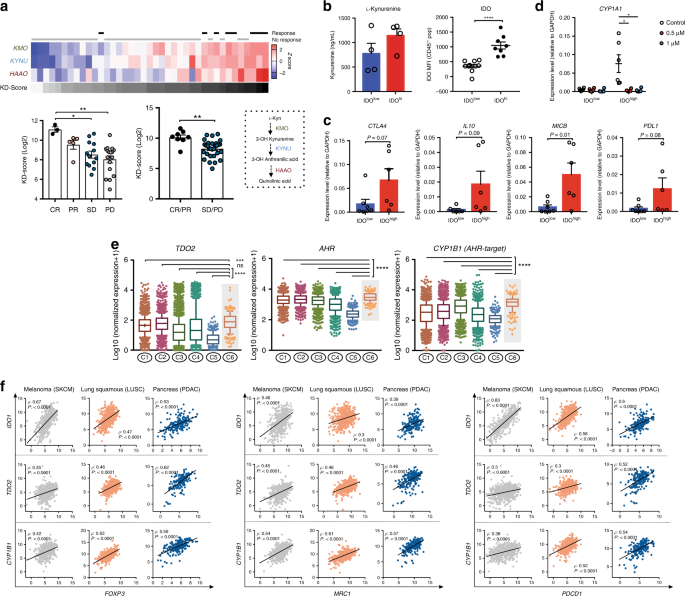 Fig. 1: An active IDO/TDO-Kyn-AHR pathway associates with immune suppressive features in human cancers.