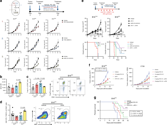Fig. 4: Selective AHR inhibition reverses IDO/TDO-mediated tumor progression and improves the efficacy of PD-1 blockade.
