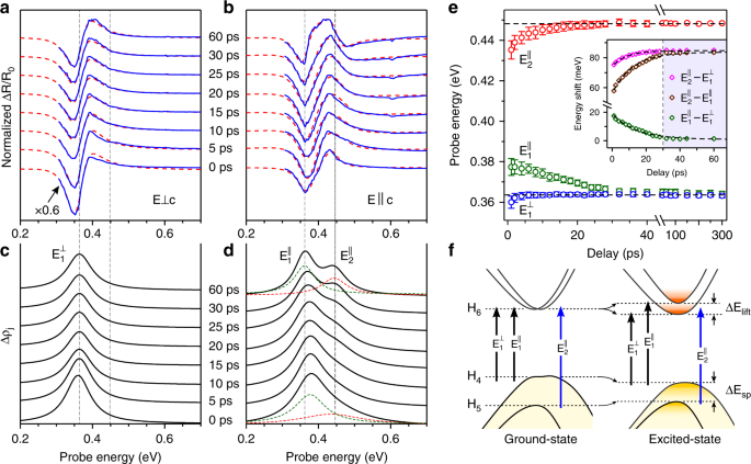 Fig. 3: Transient response of polarized optical transitions in Te nanosheet.