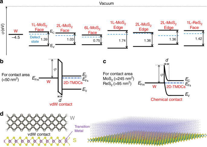 Site-specific electrical contacts with the two-dimensional 