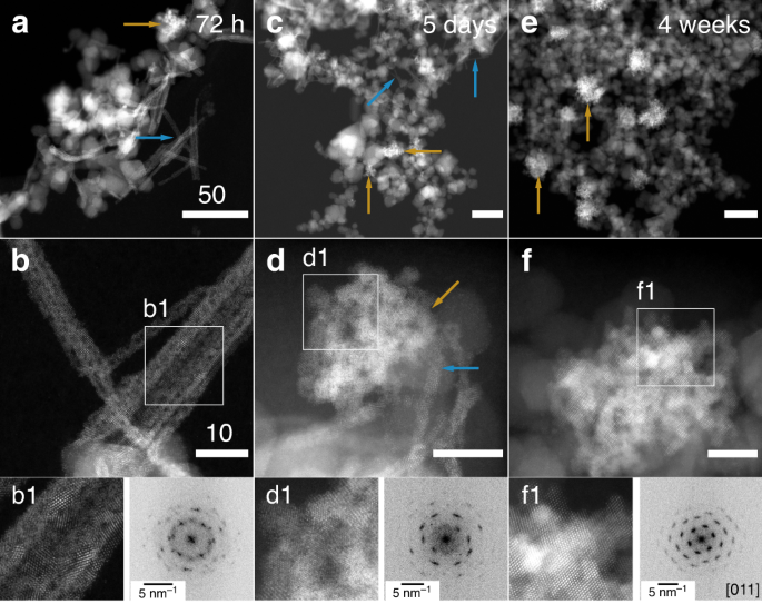 Nanoscale Mechanism Of Uo 2 Formation Through Uranium Reduction By Magnetite Nature Communications