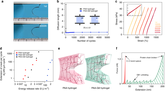 Fig. 5: Characterization of the anti-fatigue fracture properties of the hydrogels.