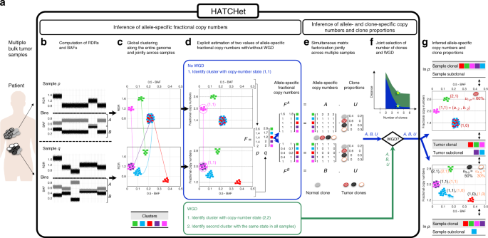 Fig. 1: Overview of HATCHet algorithm.