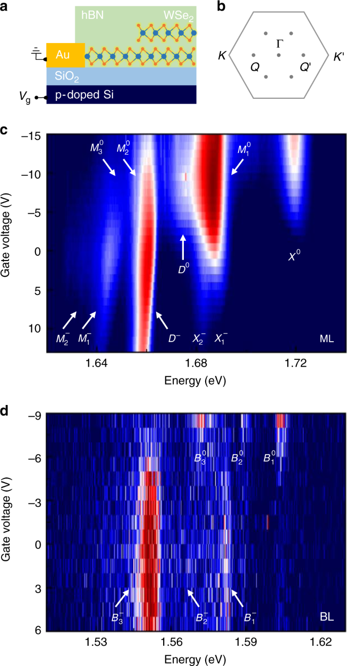 Exciton G Factors In Monolayer And Bilayer Wse 2 From Experiment And Theory Nature Communications