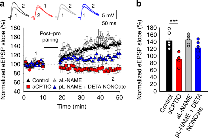 Astrocyte Mediated Switch In Spike Timing Dependent Plasticity During Hippocampal Development Nature Communications