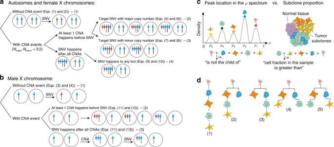 Fastclone Is A Probabilistic Tool For Deconvoluting Tumor Heterogeneity In Bulk Sequencing Samples Nature Communications