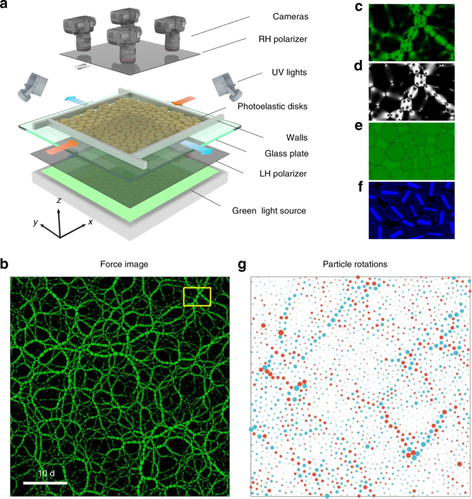 Fig. 1: Schematic of the experimental setup and different types of images recorded.