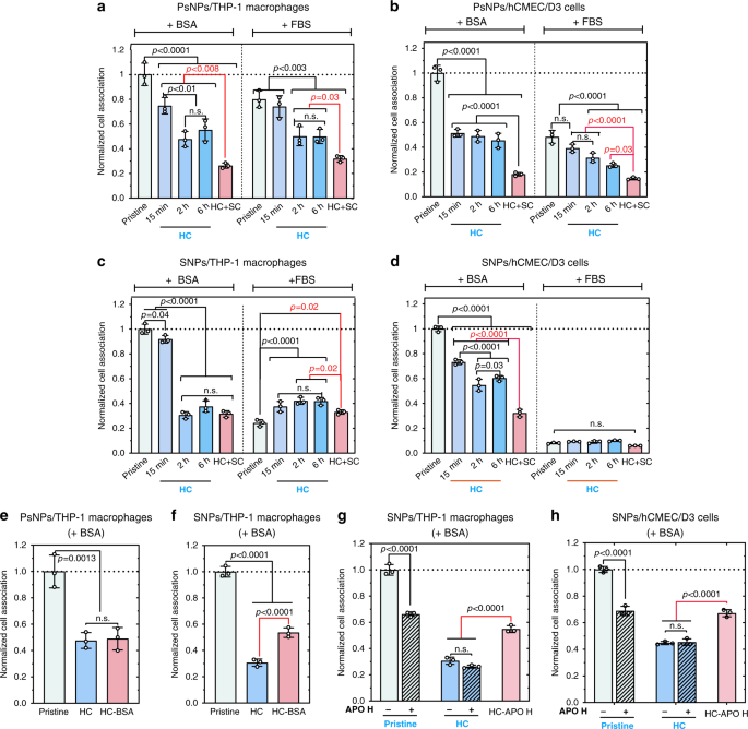Fig. 5: Cell association of nanoparticle–corona complexes.