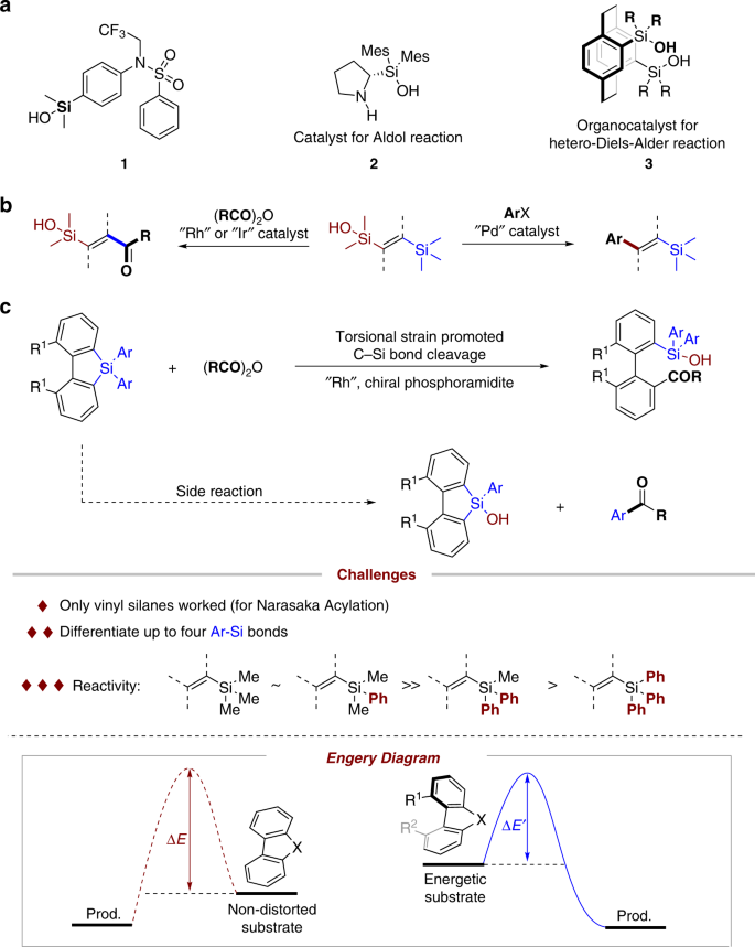 Catalytic asymmetric C–Si bond activation via torsional strain-promoted  Rh-catalyzed aryl-Narasaka acylation | Nature Communications