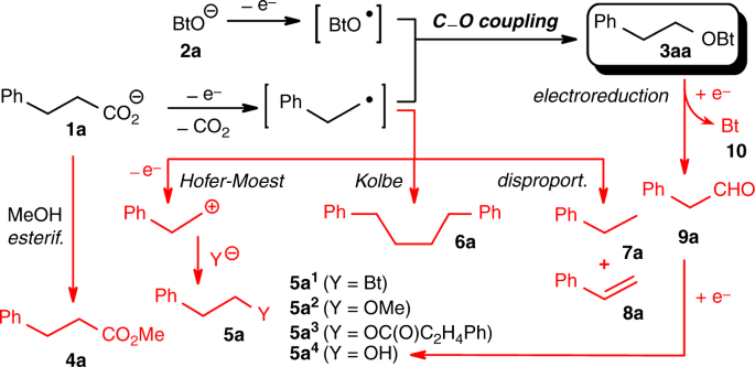 Taking Electrodecarboxylative Etherification Beyond Hofer Moest Using A Radical C O Coupling Strategy Nature Communications