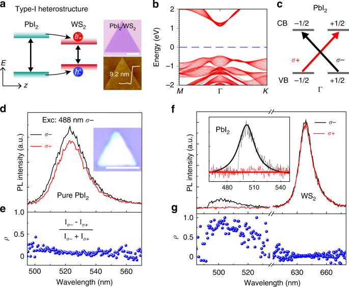 Fig. 1: Spin polarization mechanism and spectrum of PbI2/WS2 heterostructures.