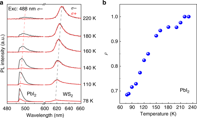 Fig. 4: Temperature-dependent degree of polarization from PbI2/WS2 heterostructures.