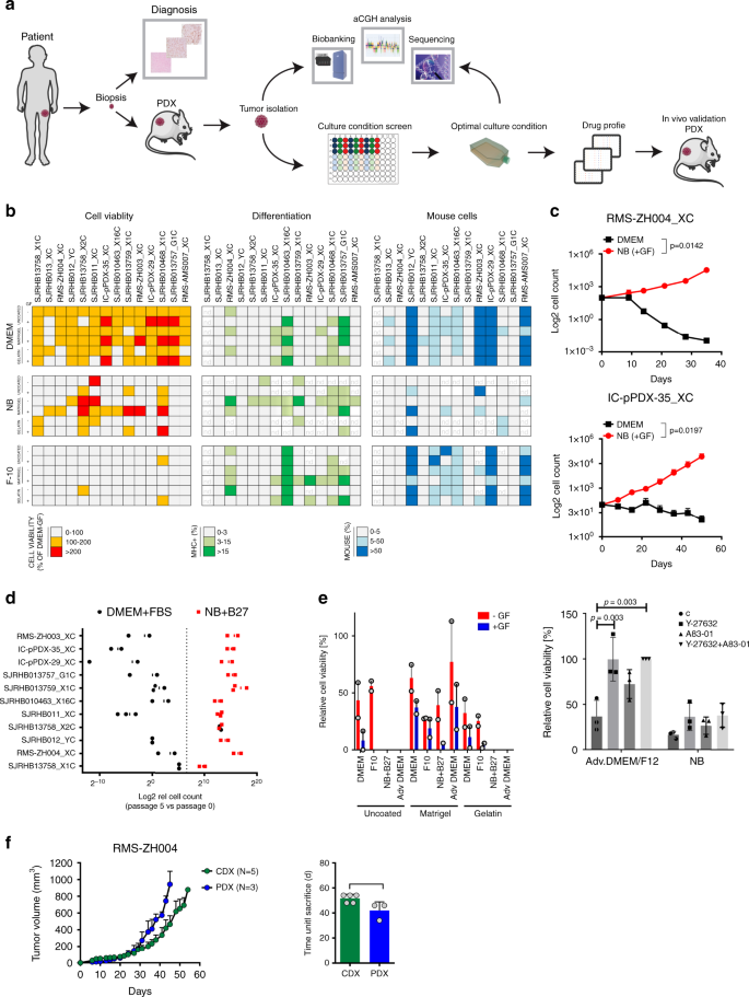 Phenotypic Profiling With A Living Biobank Of Primary Rhabdomyosarcoma Unravels Disease Heterogeneity And Akt Sensitivity Nature Communications
