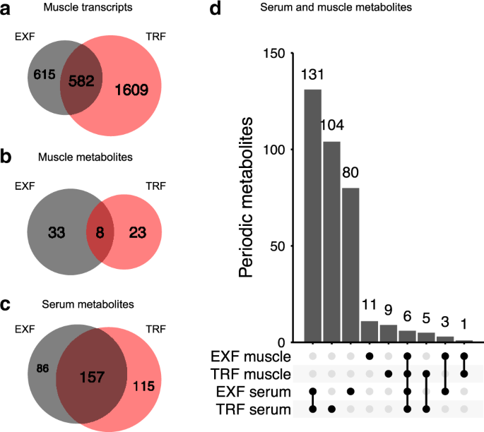 Fig. 2: Overlaps of significantly periodic features in serum and skeletal muscle.