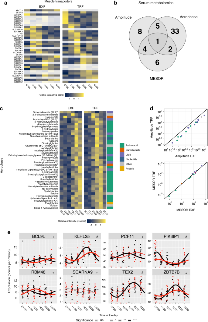 Fig. 7: Transporter periodicity, and differential transcript and serum metabolite rhythmicity.