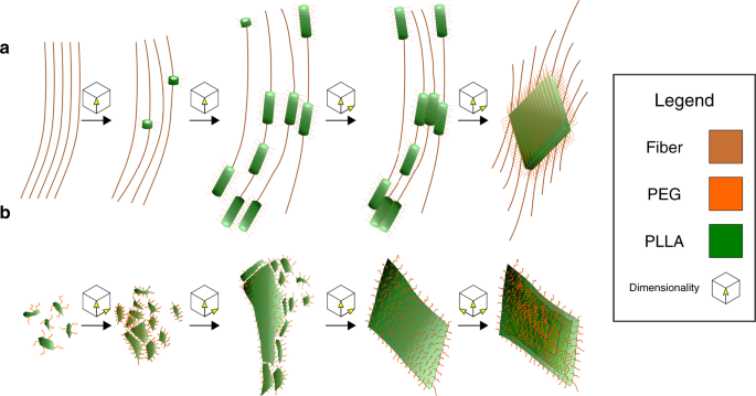 Ring Opening Polymerization Induced Crystallization Driven Self Assembly Of Poly L Lactide Block Polyethylene Glycol Block Copolymers Ropi Cdsa Nature Communications