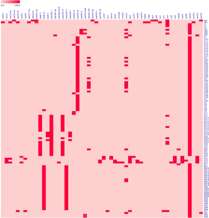 Fig. 2: Heatmap of antimicrobial resistance genes in tet(X)-positive isolates in China.
