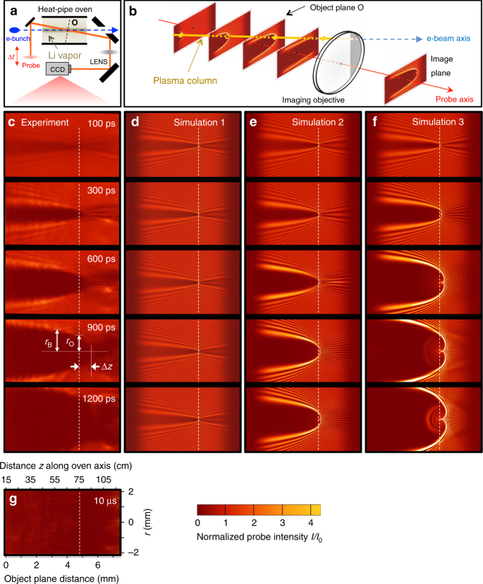 Dissipation Of Electron Beam Driven Plasma Wakes Nature Communications