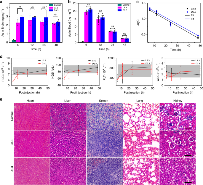 Fig. 4: Biodistribution and toxicity evaluation of L3.3 and D3.3 in vivo.