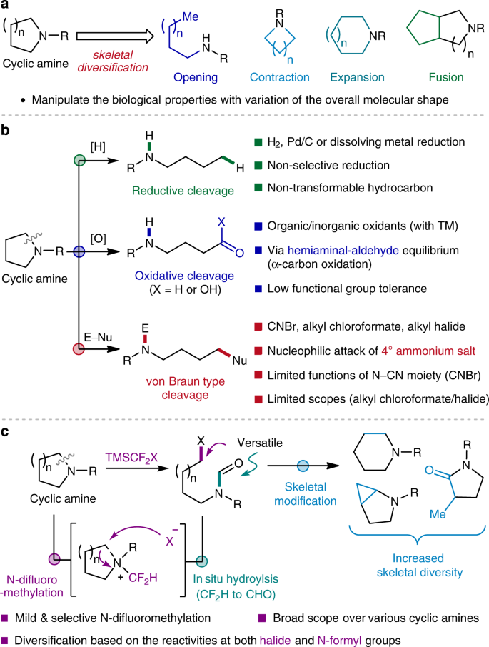 Ring Opening Functionalizations Of Unstrained Cyclic Amines Enabled By Difluorocarbene Transfer Nature Communications