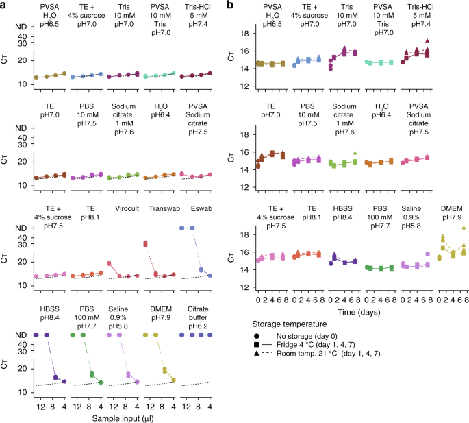 Rt pcr full form