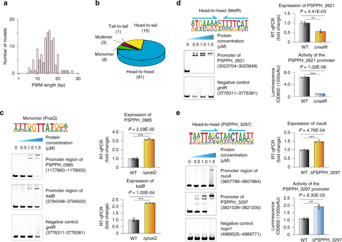 Fig. 2: Validation of different TF-binding modes.