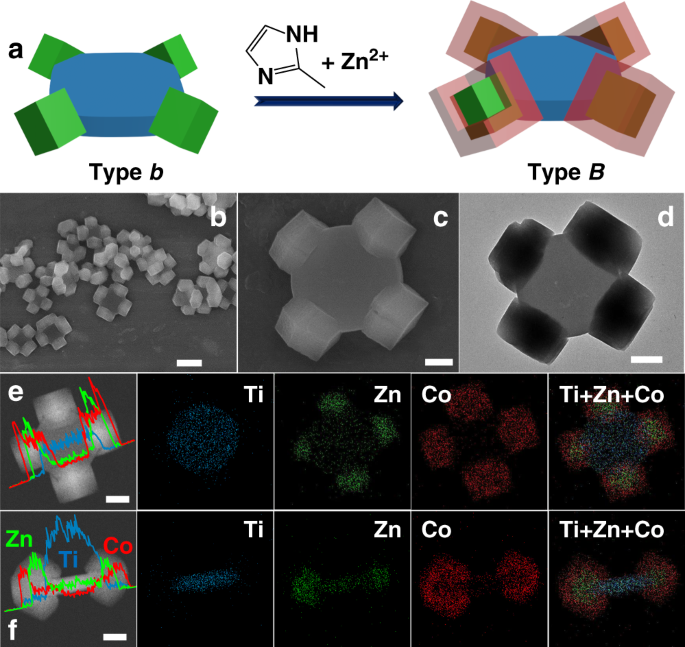 Molecular structure of MOF 1, all hydrogen atoms are omitted for clarity-  Download Scientific Diagram