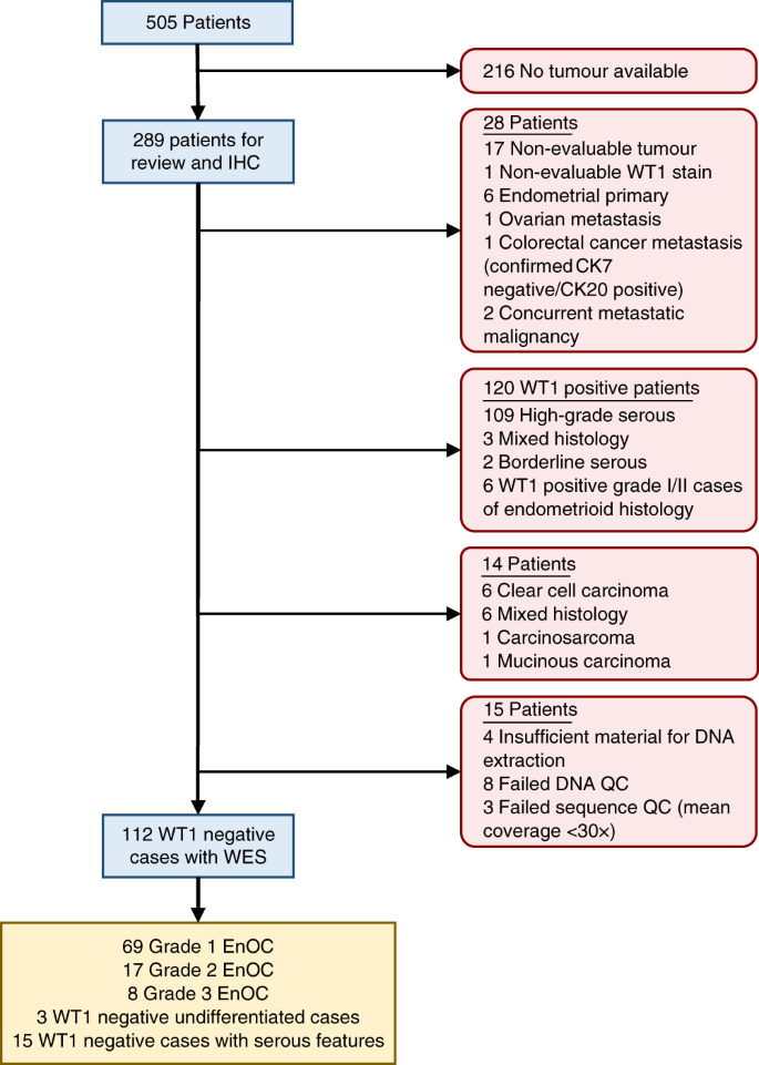 Fig. 1: Flow diagram identifying endometrioid ovarian carcinoma cases for whole exome sequencing.