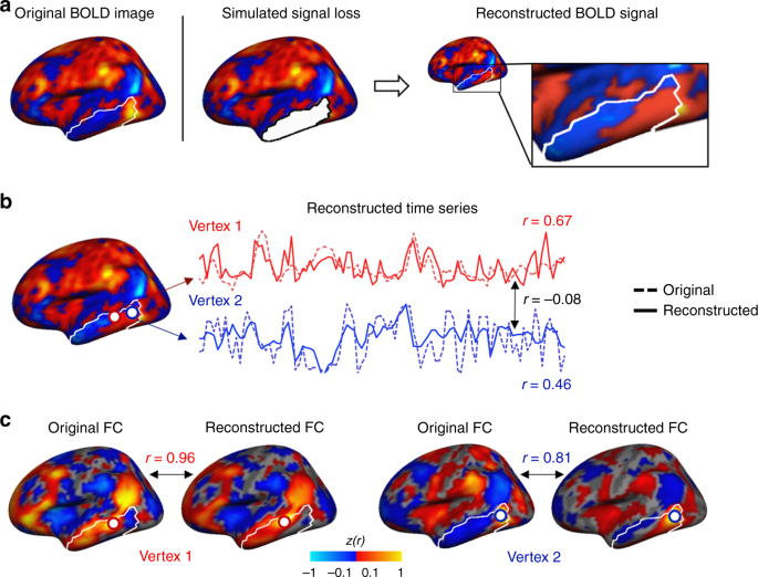 Fig. 2: The reconstructed BOLD signals are highly similar to the original signals.