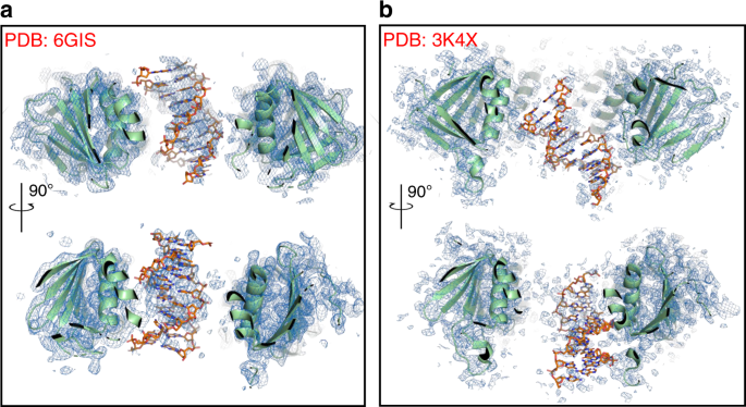 Fig. 1: PCNA–DNA complexes OMIT maps.