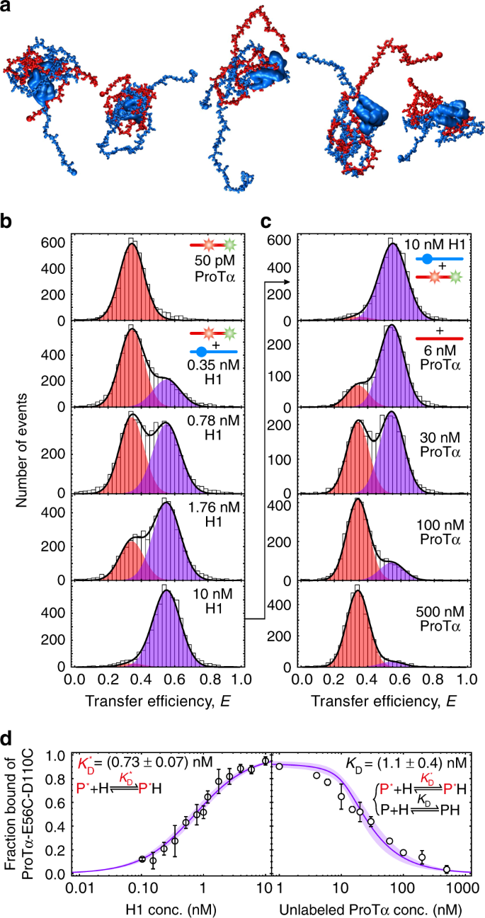 Tyggegummi veteran Skygge Polyelectrolyte interactions enable rapid association and dissociation in  high-affinity disordered protein complexes | Nature Communications