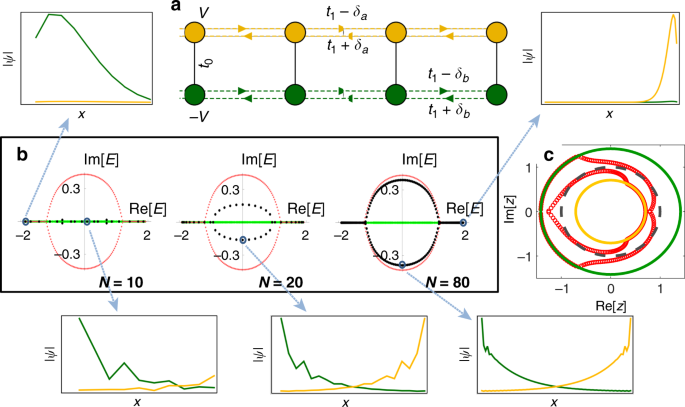 Critical Non Hermitian Skin Effect Nature Communications