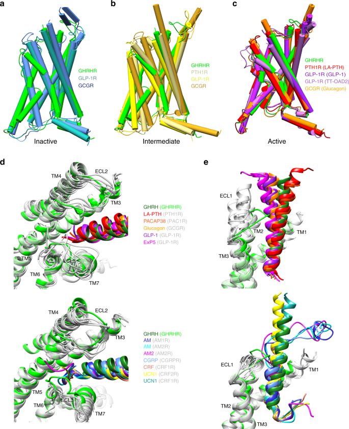Structural Basis For Activation Of The Growth Hormone Releasing Hormone Receptor Nature Communications