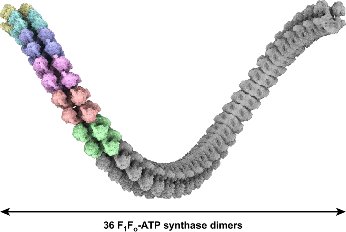 figure 8