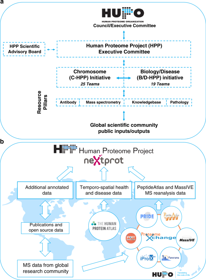 A high-stringency blueprint of the human proteome | Nature Communications