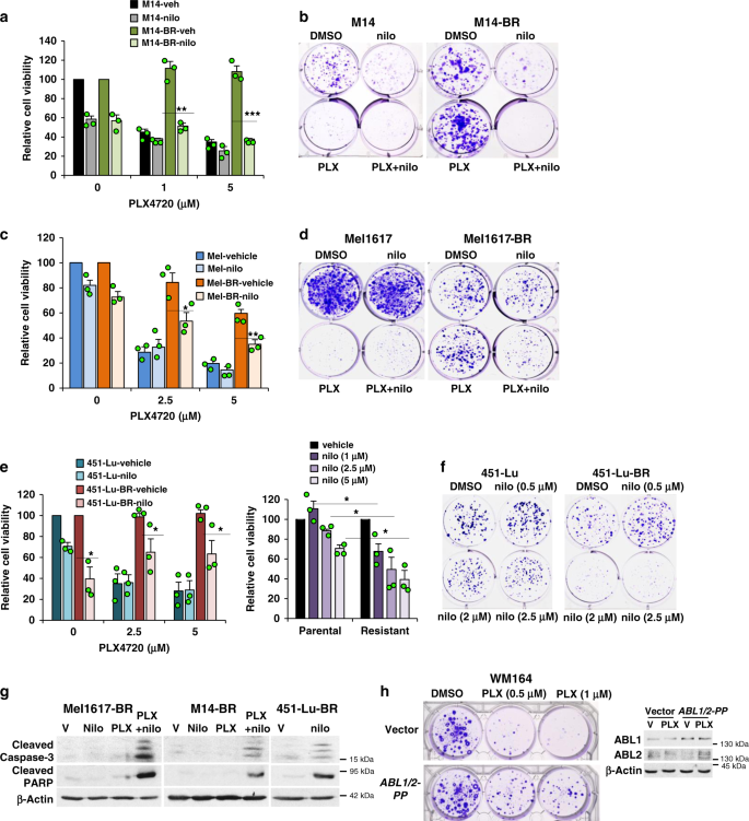 Combating Acquired Resistance To Mapk Inhibitors In Melanoma By Targeting Abl1 2 Mediated Reactivation Of Mek Erk Myc Signaling Nature Communications