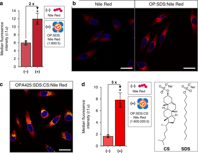 Two Tier Supramolecular Encapsulation Of Small Molecules In A Protein Cage Nature Communications